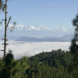 Holiday Home In Mukteshwar - Uttarakhand, Mukteshwar 5